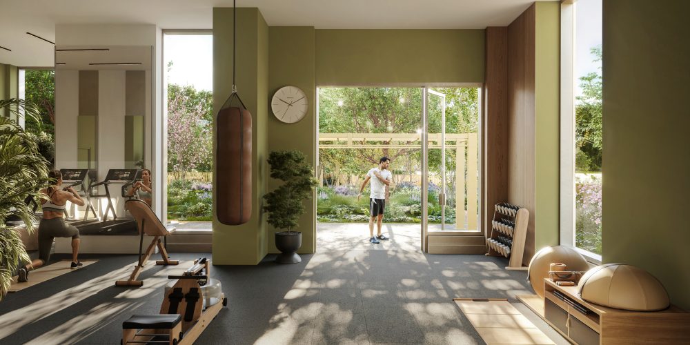 The Wilderly Gym_