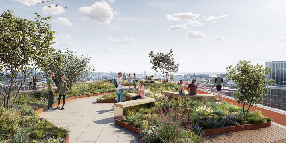 The Forge Roof Terrace